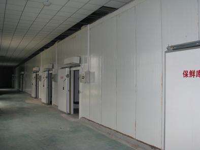 氣調庫相比較保鮮庫而言的話都有哪些特點？