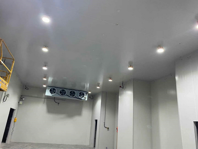 建個存放10噸貨物的冷庫大概需要多少錢？